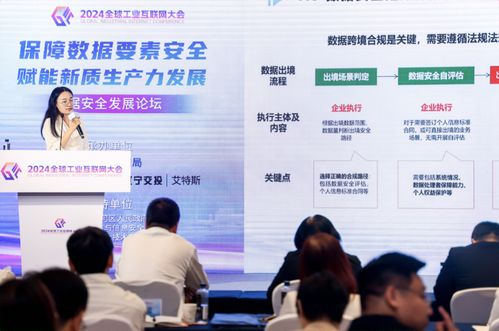 2024全球工業(yè)互聯(lián)網(wǎng)大會工業(yè)互聯(lián)網(wǎng)數(shù)據(jù)安全發(fā)展主題論壇在沈陽成功舉辦 筑牢數(shù)據(jù)服務(wù)安全屏障，賦能產(chǎn)業(yè)數(shù)字化轉(zhuǎn)型